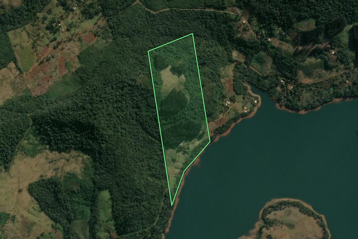Imagem de satélite do imóvel rural em Pinhão (PR), com o contorno declarado no CAR desenhado por cima.