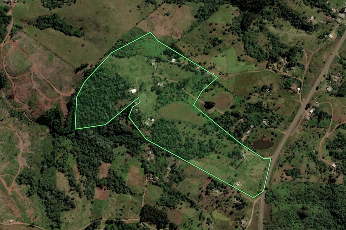 Imagem de satélite do imóvel rural em Pinhão (PR), com o contorno declarado no CAR desenhado por cima.