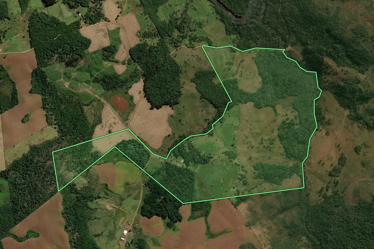 Imagem de satélite do imóvel rural em Pinhão (PR), com o contorno declarado no CAR desenhado por cima.