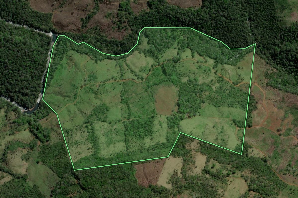 Imagem de satélite do imóvel rural em Pinhão (PR), com o contorno declarado no CAR desenhado por cima.