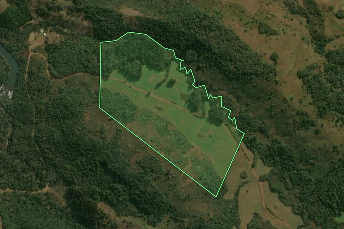 Imagem de satélite do imóvel rural em Pinhão (PR), com o contorno declarado no CAR desenhado por cima.