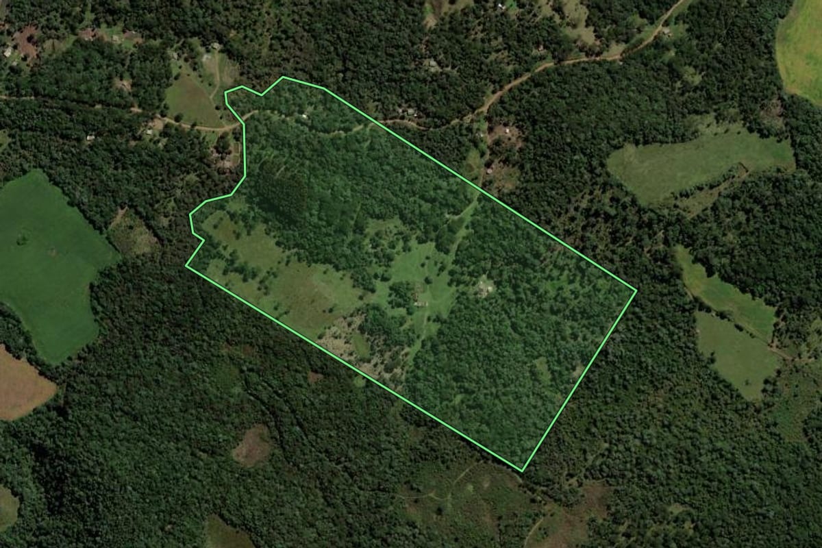 Imagem de satélite do imóvel rural em Pinhão (PR), com o contorno declarado no CAR desenhado por cima.