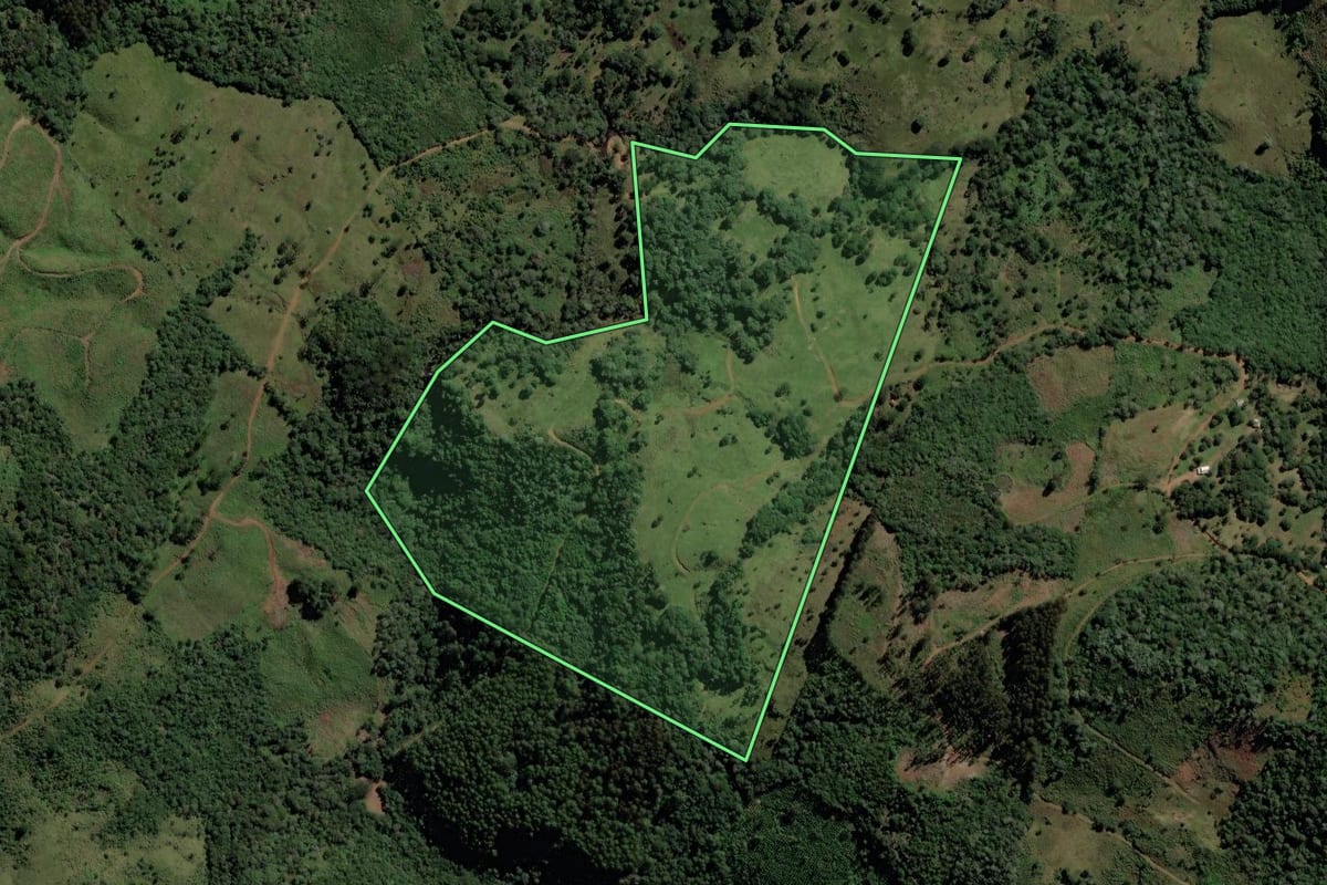 Imagem de satélite do imóvel rural em Pinhão (PR), com o contorno declarado no CAR desenhado por cima.