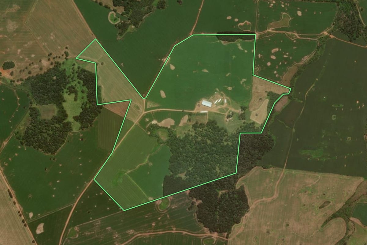 Imagem de satélite do imóvel rural em Pinhão (PR), com o contorno declarado no CAR desenhado por cima.