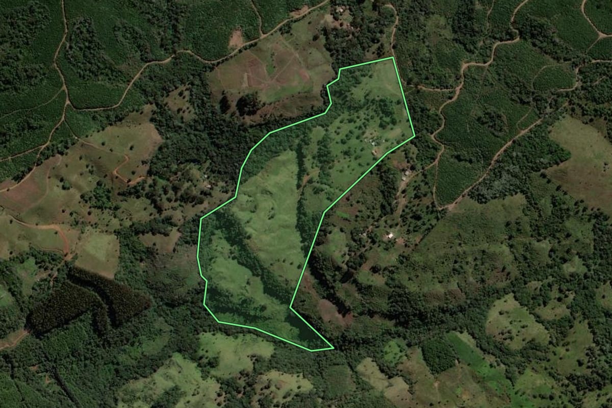 Imagem de satélite do imóvel rural em Pinhão (PR), com o contorno declarado no CAR desenhado por cima.