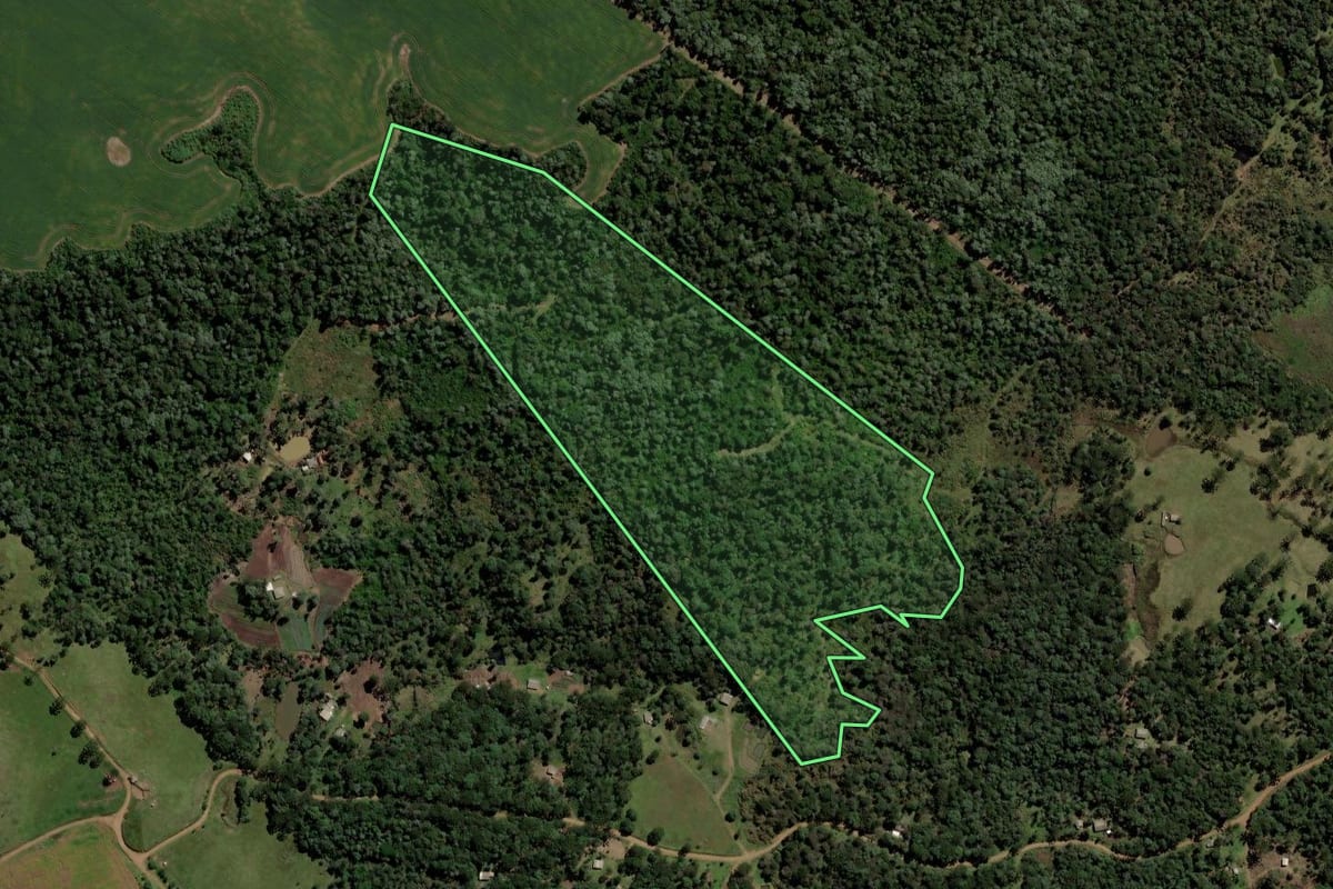 Imagem de satélite do imóvel rural em Pinhão (PR), com o contorno declarado no CAR desenhado por cima.