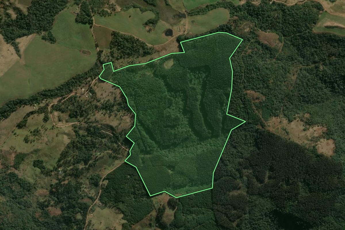 Imagem de satélite do imóvel rural em Pinhão (PR), com o contorno declarado no CAR desenhado por cima.