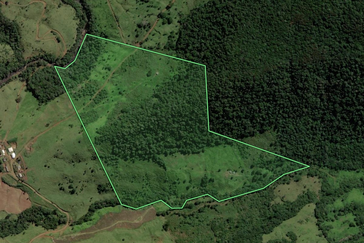 Imagem de satélite do imóvel rural em Pinhão (PR), com o contorno declarado no CAR desenhado por cima.