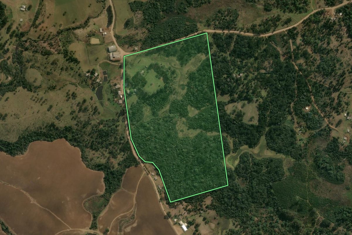 Imagem de satélite do imóvel rural em Pinhão (PR), com o contorno declarado no CAR desenhado por cima.