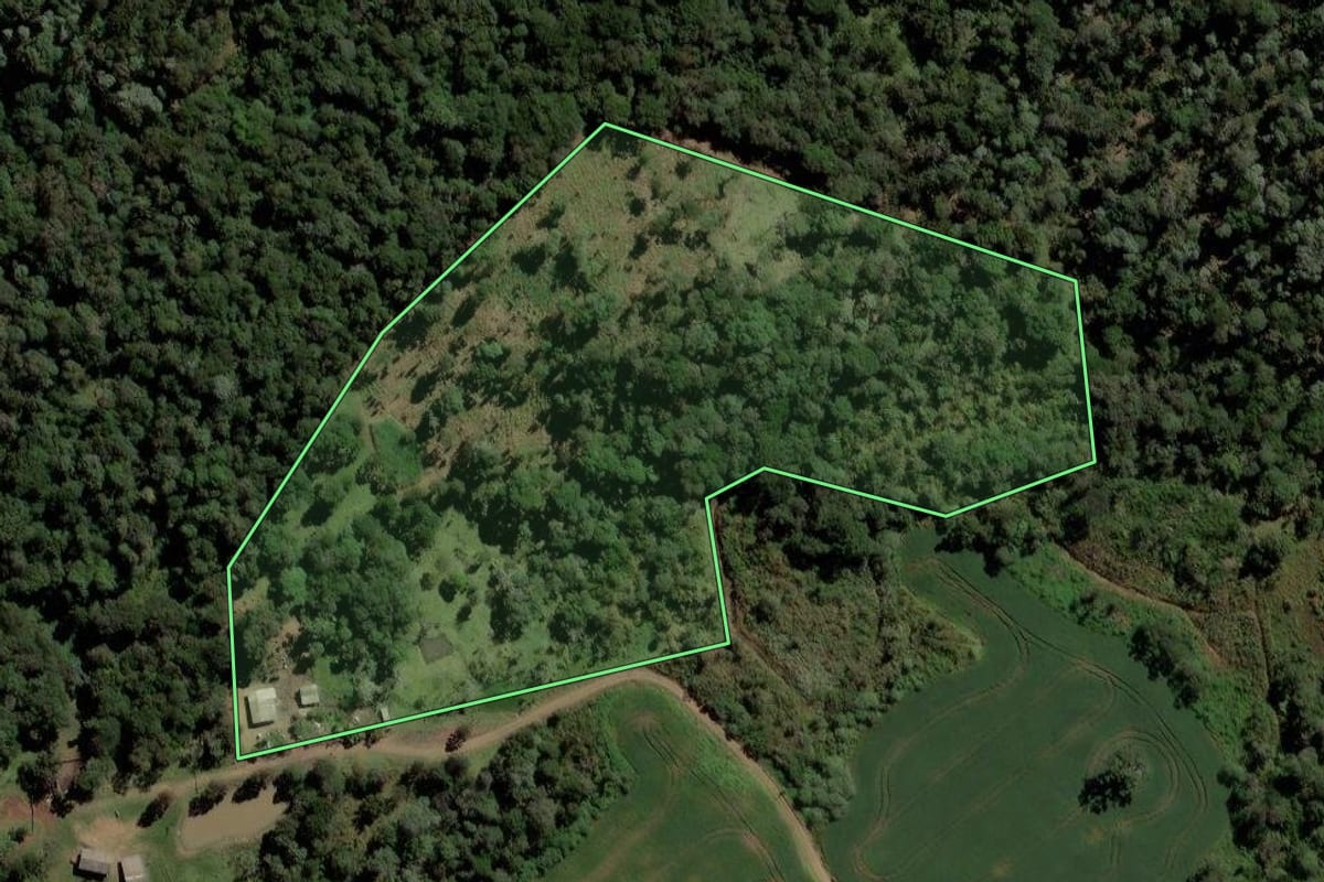 Imagem de satélite do imóvel rural em Pinhão (PR), com o contorno declarado no CAR desenhado por cima.