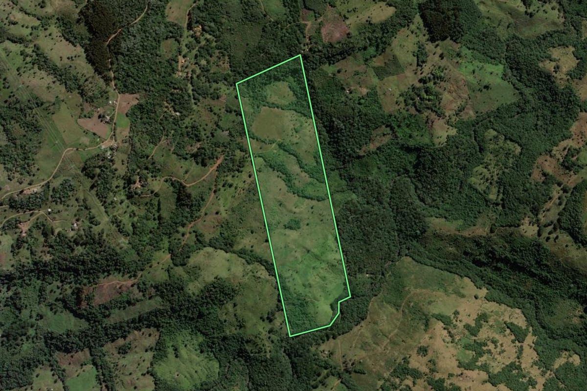 Imagem de satélite do imóvel rural em Pinhão (PR), com o contorno declarado no CAR desenhado por cima.