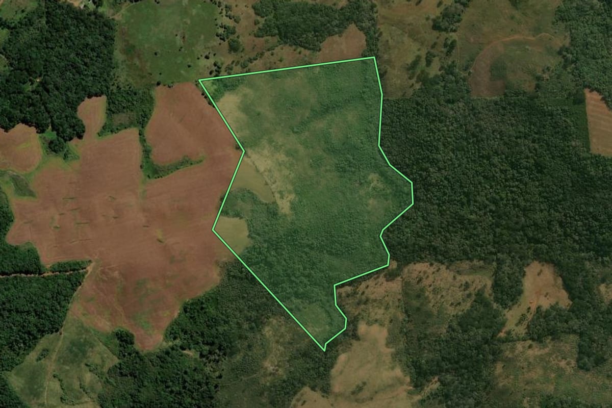 Imagem de satélite do imóvel rural em Pinhão (PR), com o contorno declarado no CAR desenhado por cima.