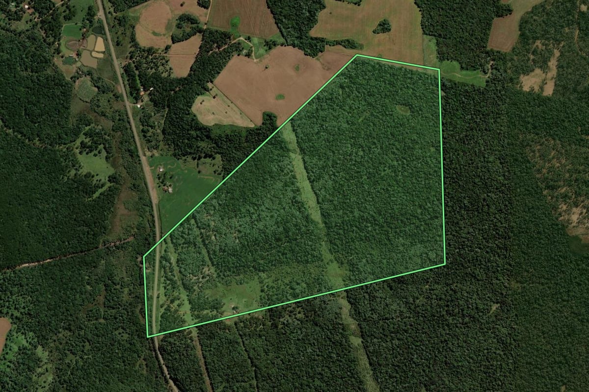 Imagem de satélite do imóvel rural em Pinhão (PR), com o contorno declarado no CAR desenhado por cima.