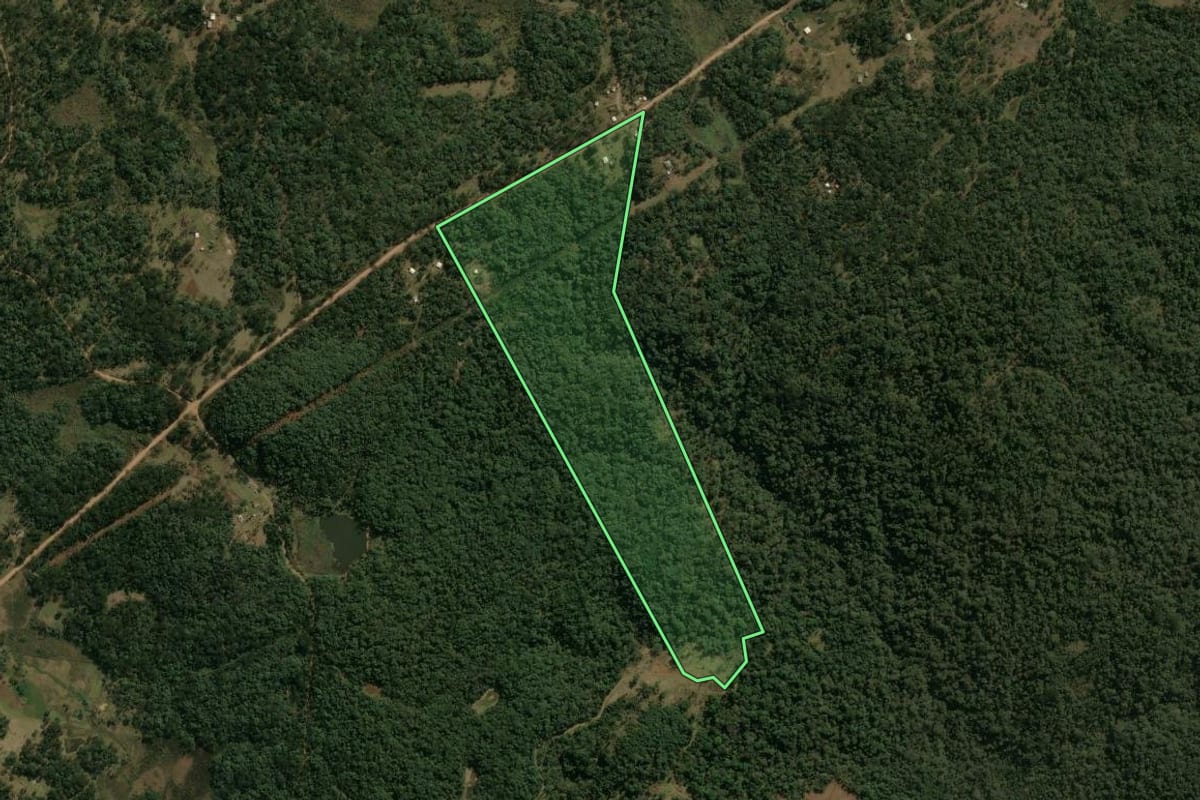 Imagem de satélite do imóvel rural em Pinhão (PR), com o contorno declarado no CAR desenhado por cima.