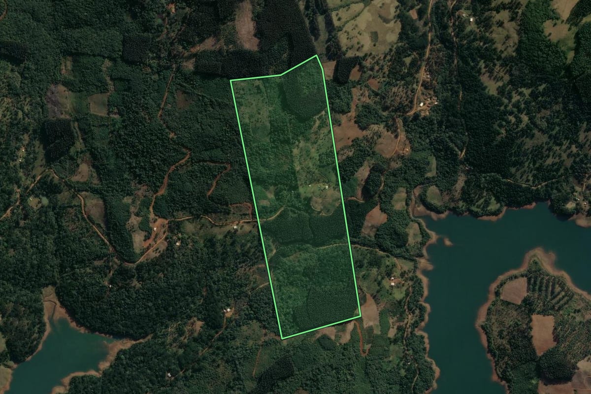 Imagem de satélite do imóvel rural em Pinhão (PR), com o contorno declarado no CAR desenhado por cima.