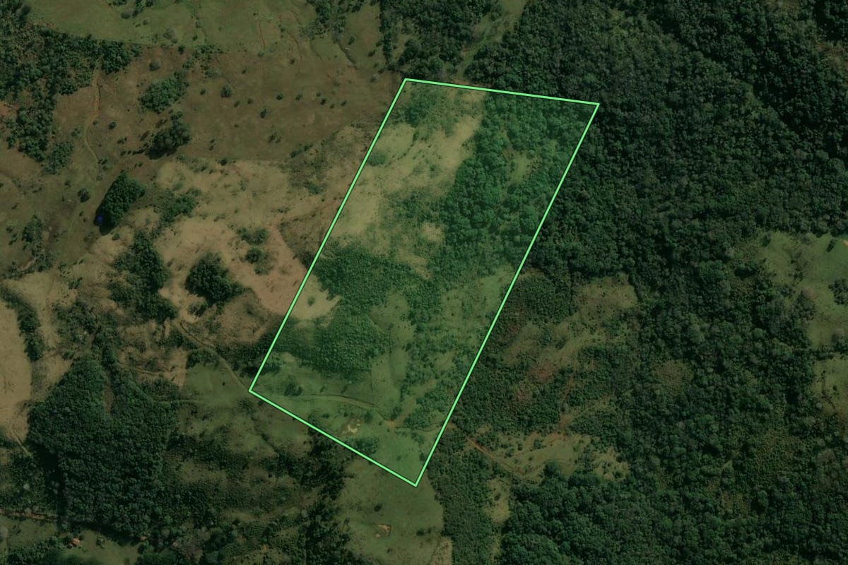 Imagem de satélite do imóvel rural em Pinhão (PR), com o contorno declarado no CAR desenhado por cima.