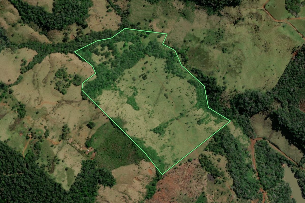Imagem de satélite do imóvel rural em Pinhão (PR), com o contorno declarado no CAR desenhado por cima.