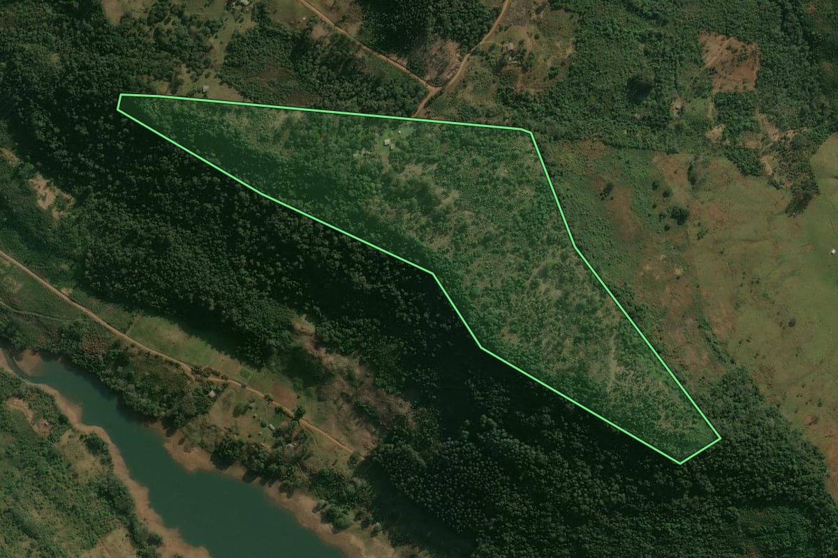 Imagem de satélite do imóvel rural em Pinhão (PR), com o contorno declarado no CAR desenhado por cima.
