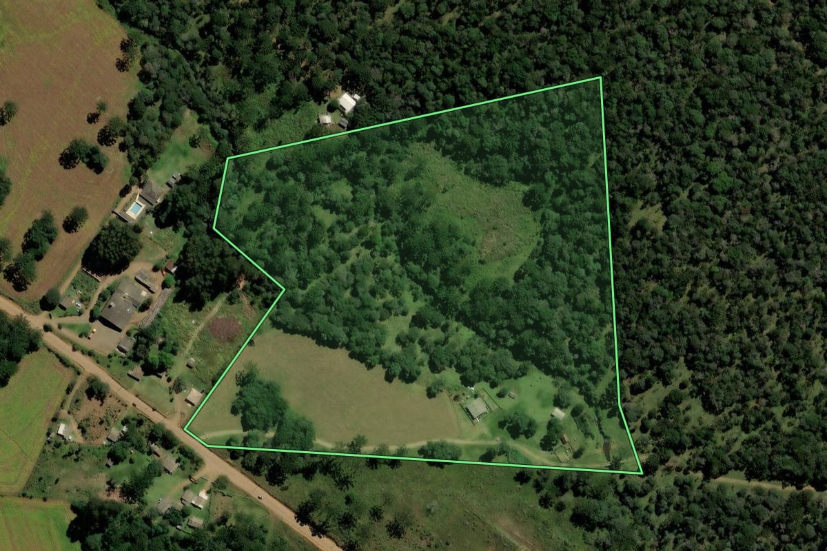 Imagem de satélite do imóvel rural em Pinhão (PR), com o contorno declarado no CAR desenhado por cima.