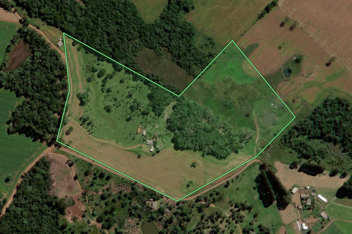 Imagem de satélite do imóvel rural em Pinhão (PR), com o contorno declarado no CAR desenhado por cima.