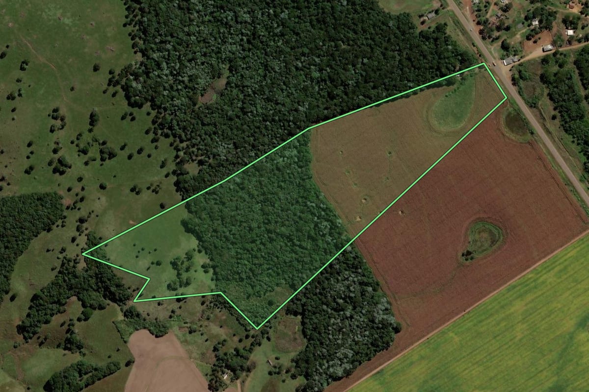 Imagem de satélite do imóvel rural em Pinhão (PR), com o contorno declarado no CAR desenhado por cima.