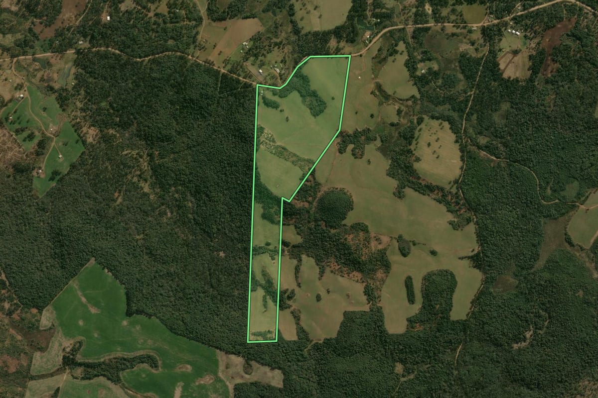 Imagem de satélite do imóvel rural em Pinhão (PR), com o contorno declarado no CAR desenhado por cima.