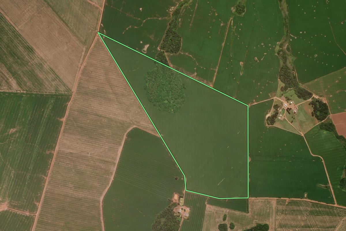 Imagem de satélite do imóvel rural em Pinhão (PR), com o contorno declarado no CAR desenhado por cima.