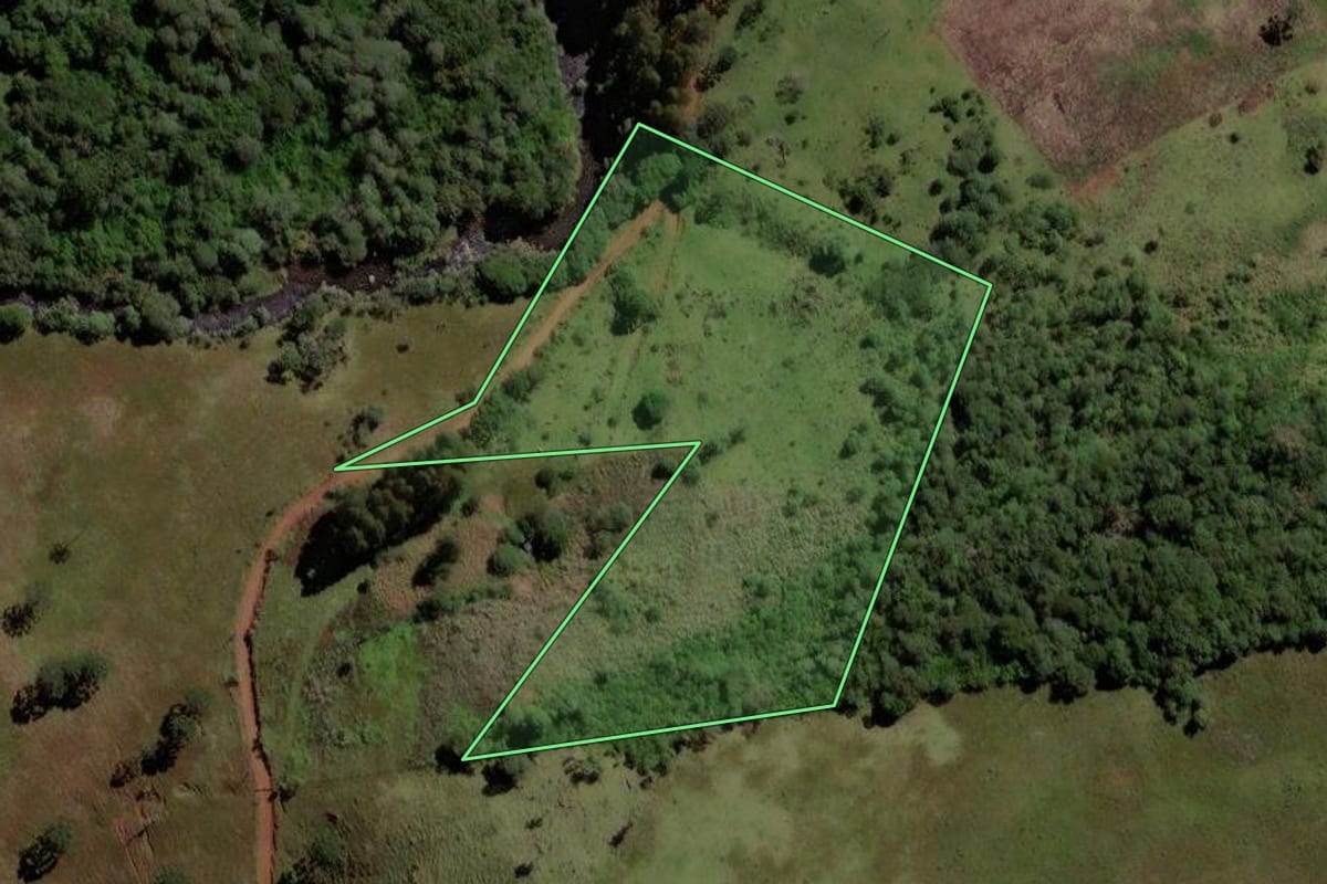 Imagem de satélite do imóvel rural em Pinhão (PR), com o contorno declarado no CAR desenhado por cima.