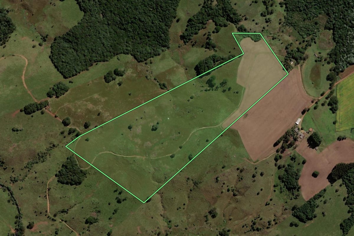 Imagem de satélite do imóvel rural em Pinhão (PR), com o contorno declarado no CAR desenhado por cima.