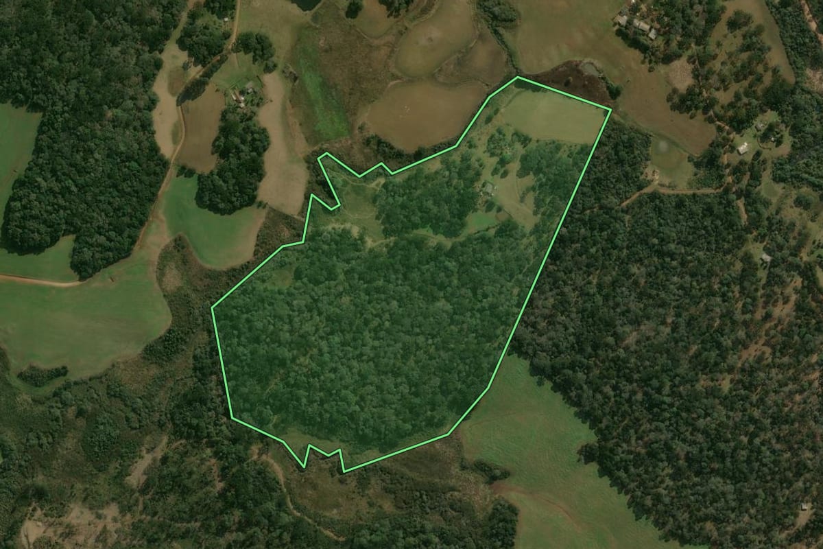 Imagem de satélite do imóvel rural em Pinhão (PR), com o contorno declarado no CAR desenhado por cima.