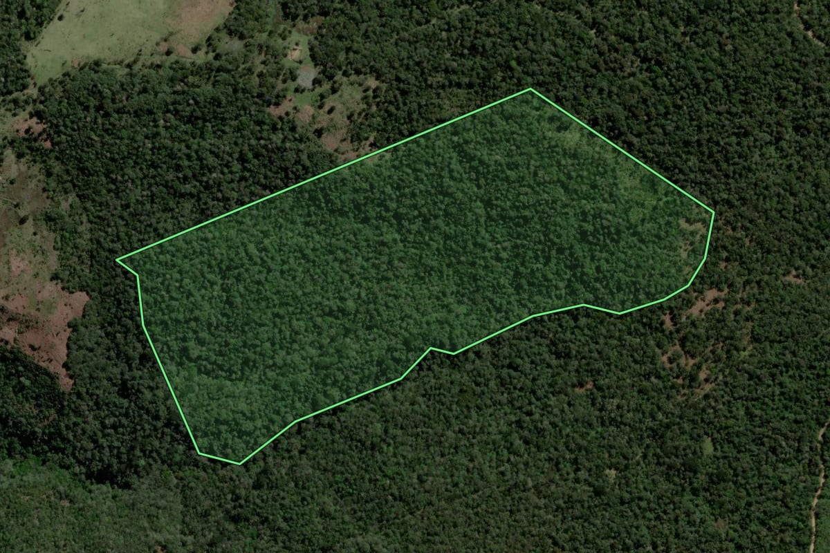 Imagem de satélite do imóvel rural em Pinhão (PR), com o contorno declarado no CAR desenhado por cima.