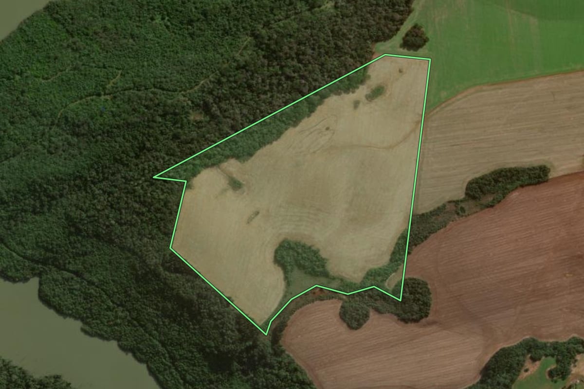 Imagem de satélite do imóvel rural em Pinhão (PR), com o contorno declarado no CAR desenhado por cima.