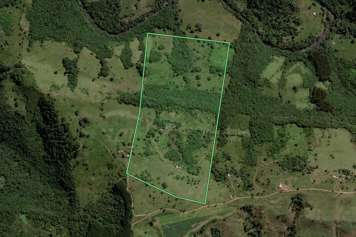 Imagem de satélite do imóvel rural em Pinhão (PR), com o contorno declarado no CAR desenhado por cima.