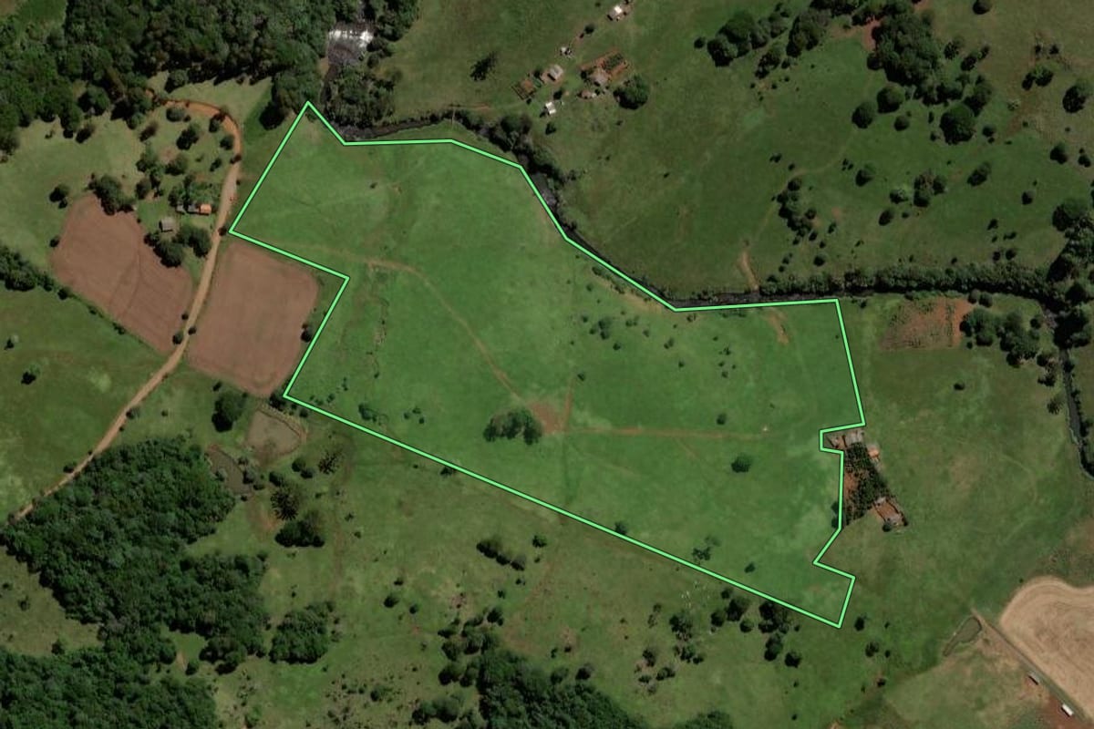 Imagem de satélite do imóvel rural em Pinhão (PR), com o contorno declarado no CAR desenhado por cima.