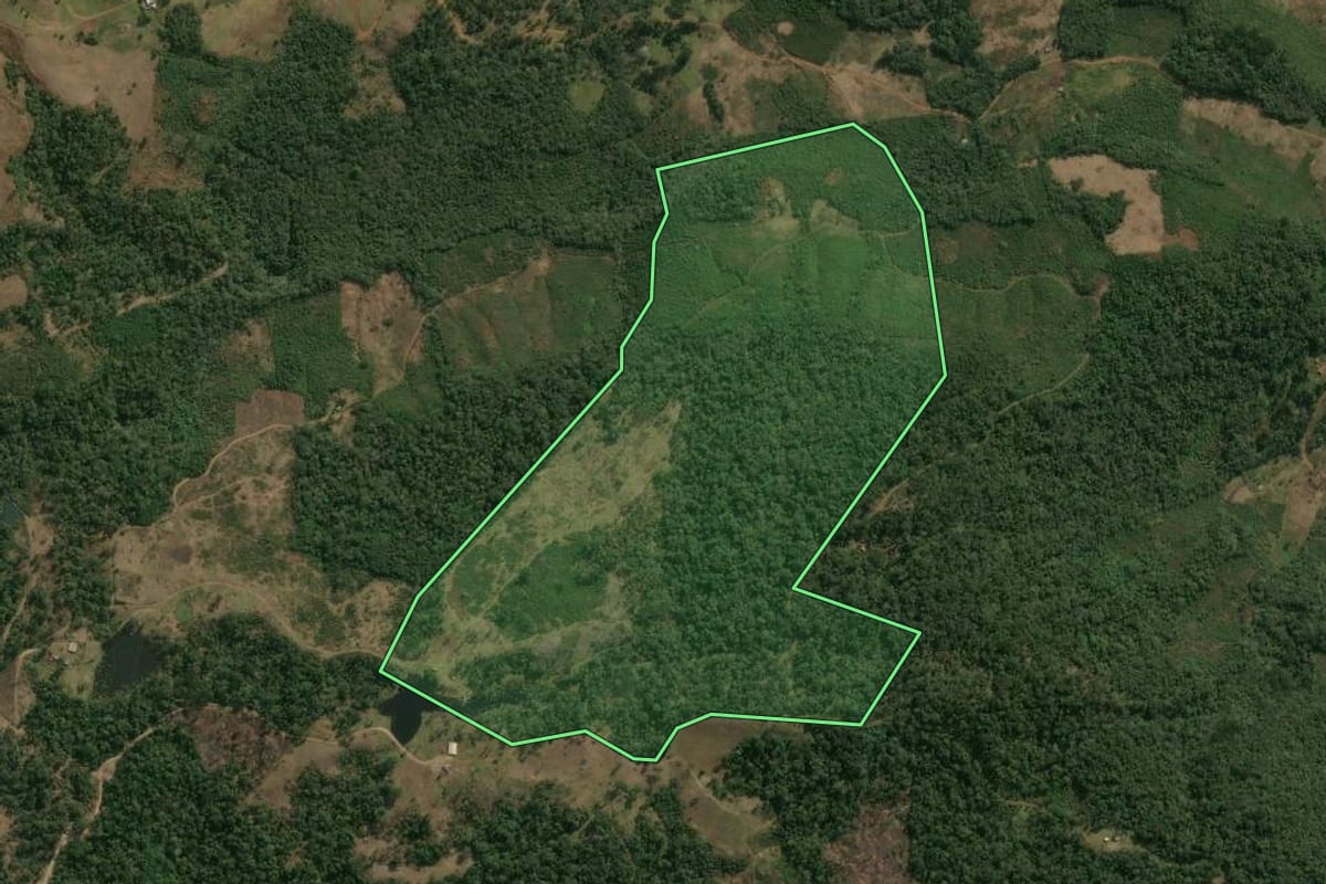 Imagem de satélite do imóvel rural em Pinhão (PR), com o contorno declarado no CAR desenhado por cima.