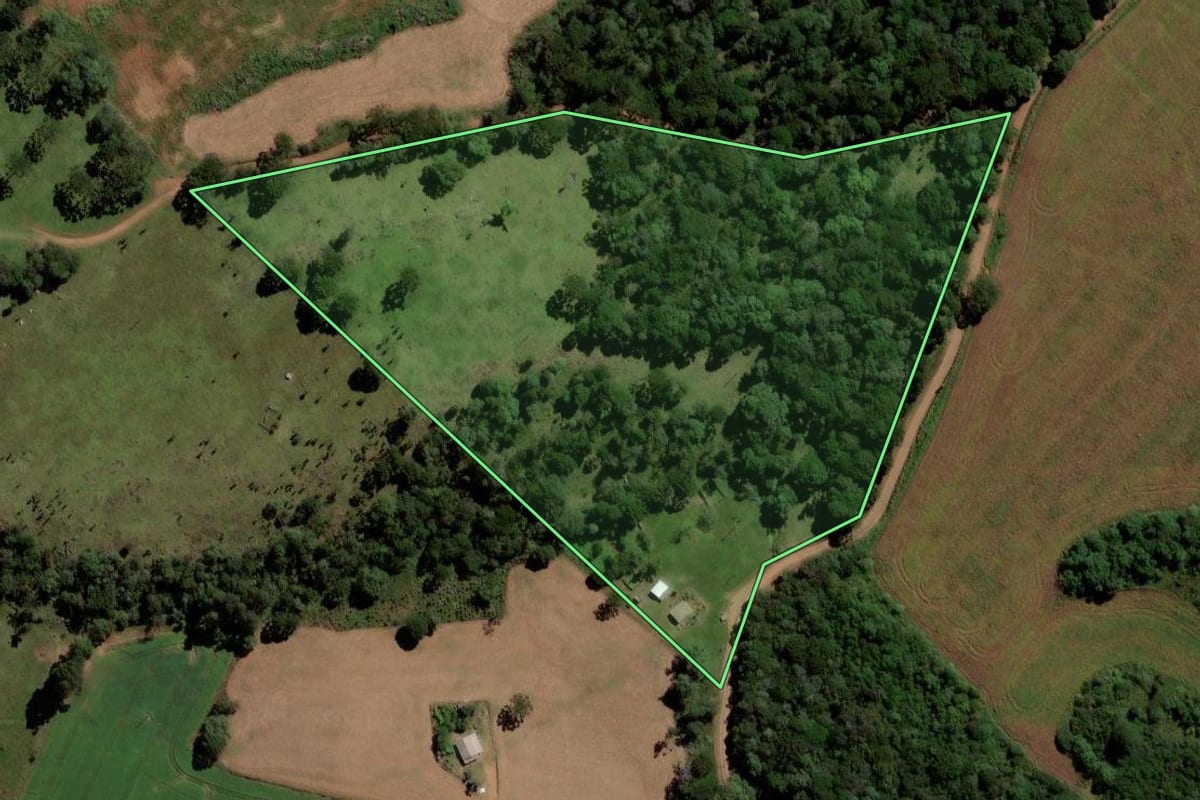 Imagem de satélite do imóvel rural em Pinhão (PR), com o contorno declarado no CAR desenhado por cima.