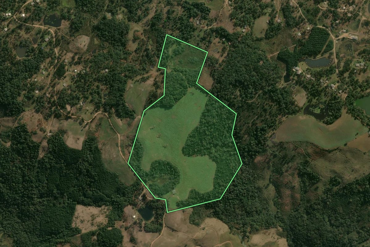 Imagem de satélite do imóvel rural em Pinhão (PR), com o contorno declarado no CAR desenhado por cima.