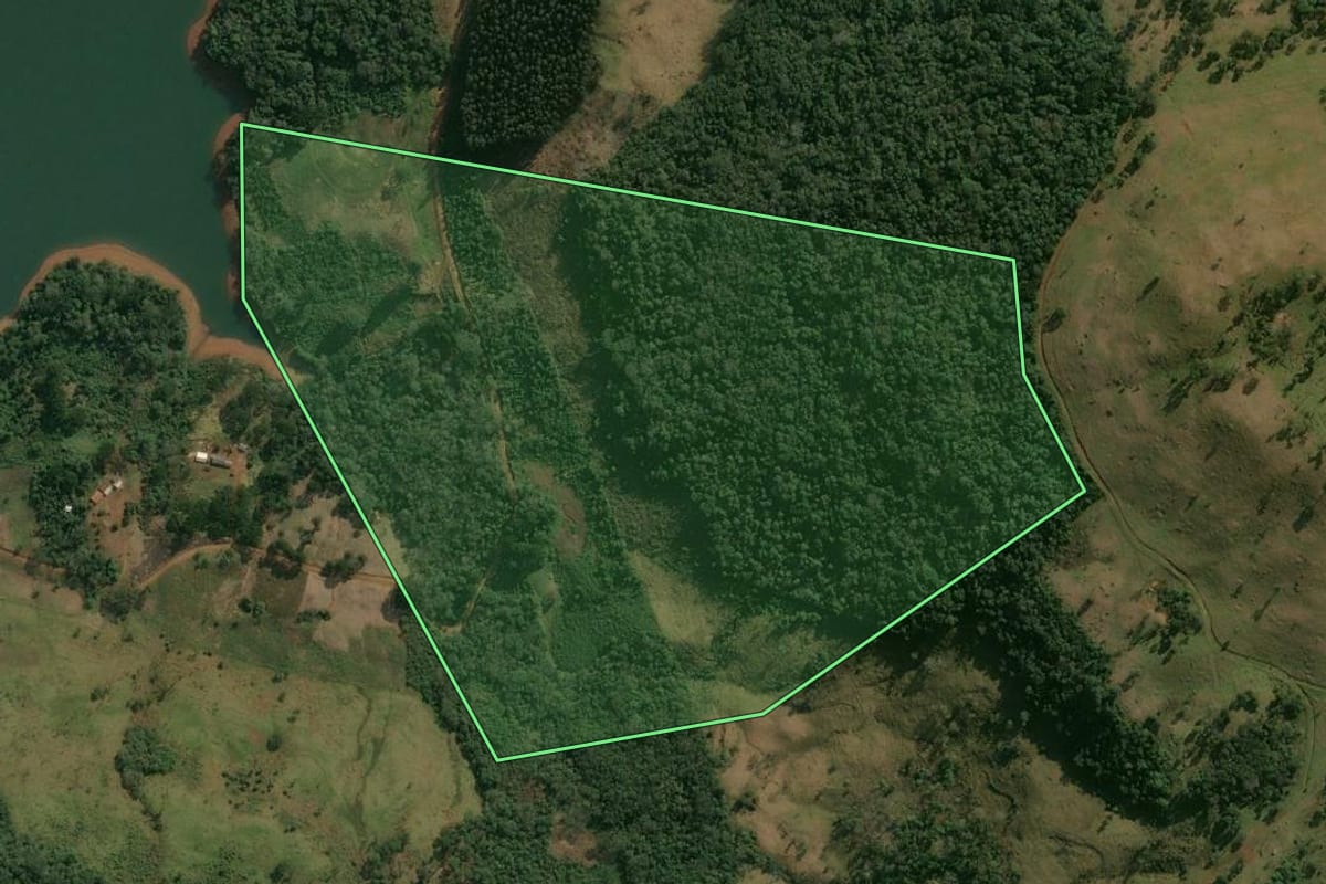 Imagem de satélite do imóvel rural em Pinhão (PR), com o contorno declarado no CAR desenhado por cima.