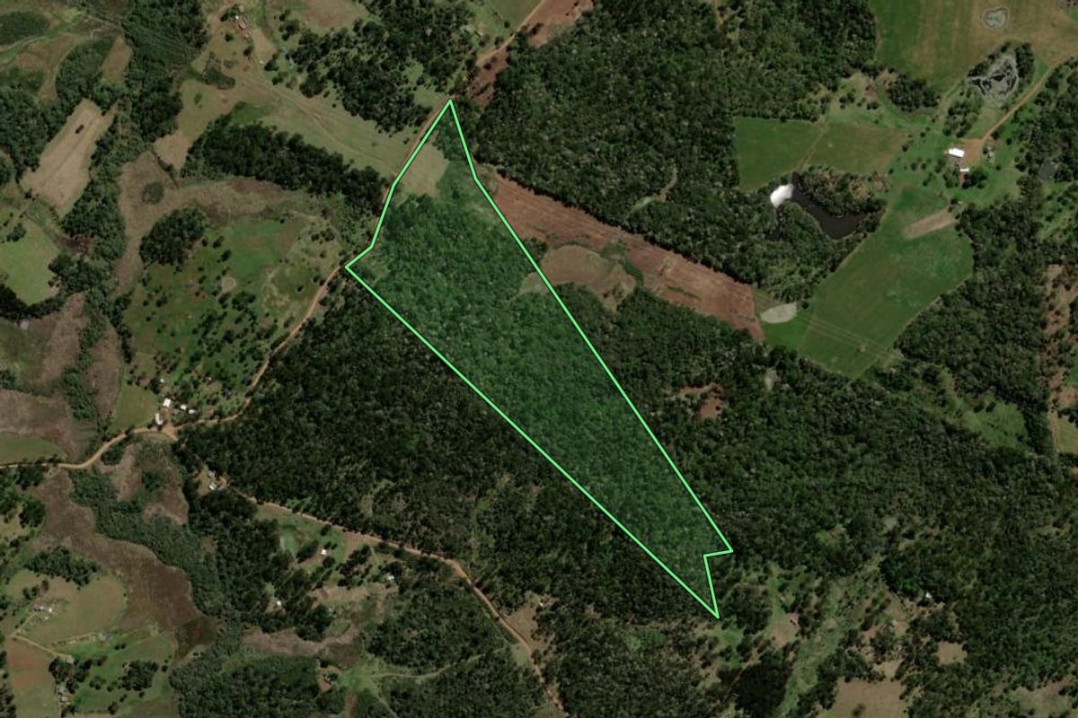 Imagem de satélite do imóvel rural em Pinhão (PR), com o contorno declarado no CAR desenhado por cima.