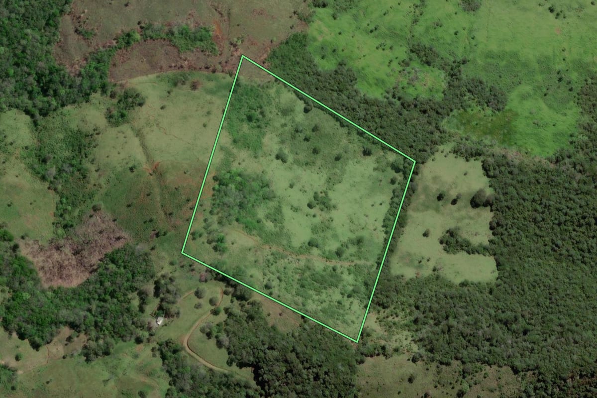 Imagem de satélite do imóvel rural em Pinhão (PR), com o contorno declarado no CAR desenhado por cima.