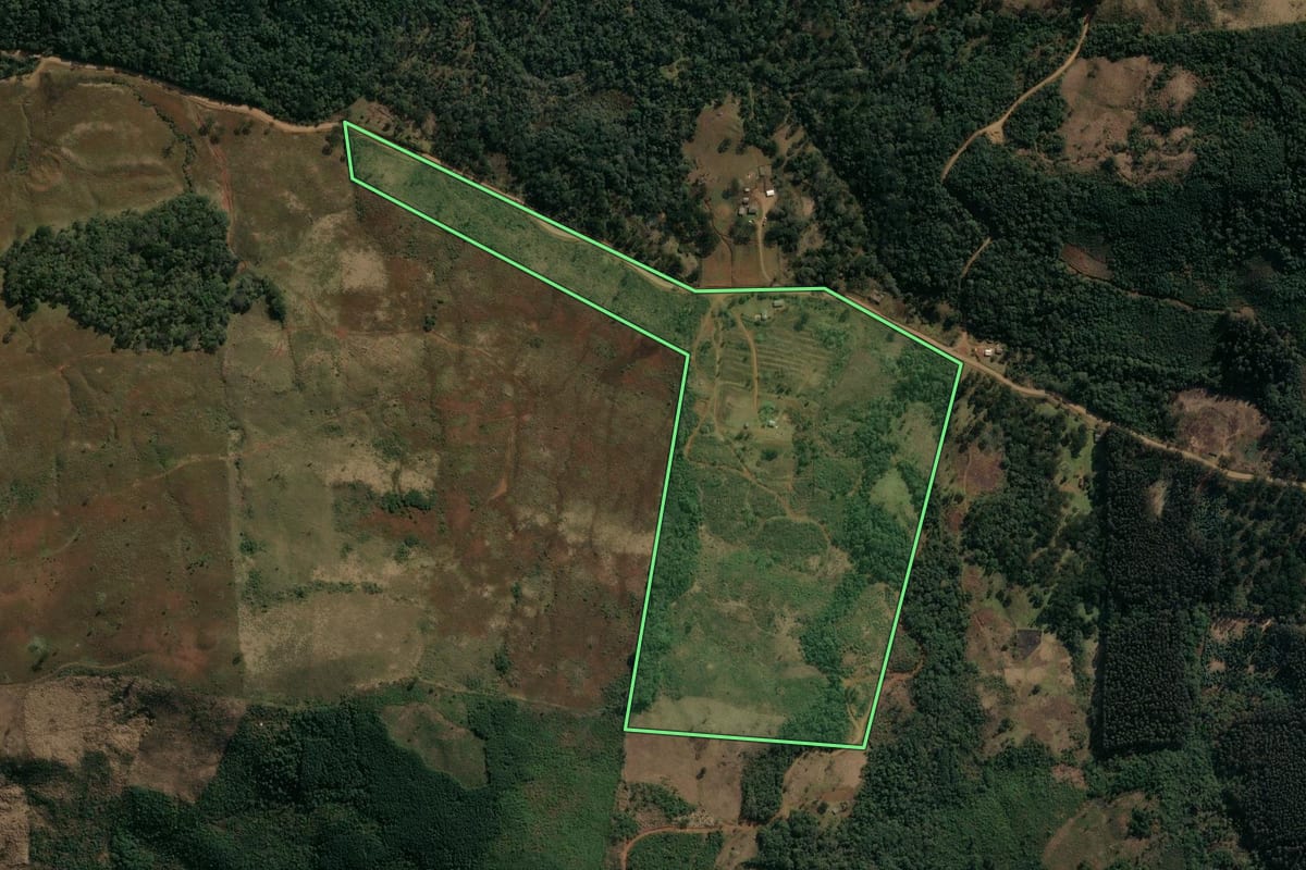 Imagem de satélite do imóvel rural em Pinhão (PR), com o contorno declarado no CAR desenhado por cima.