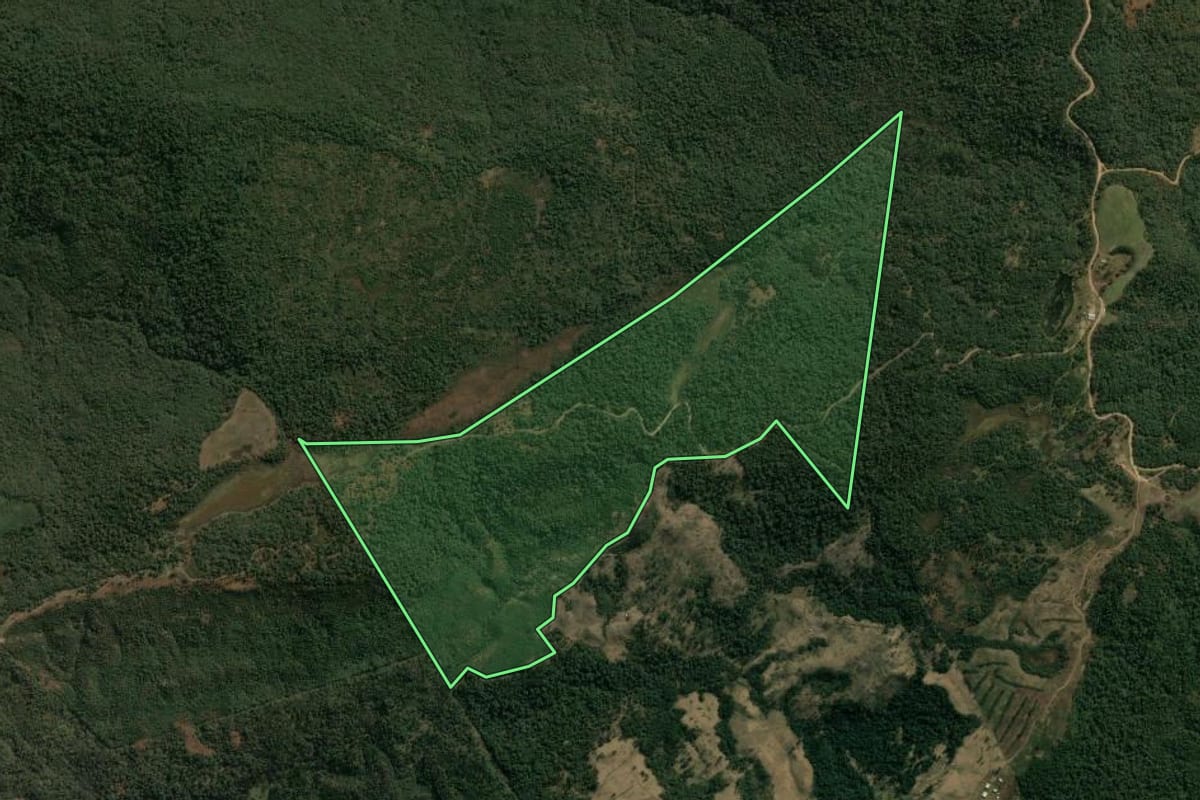 Imagem de satélite do imóvel rural em Pinhão (PR), com o contorno declarado no CAR desenhado por cima.