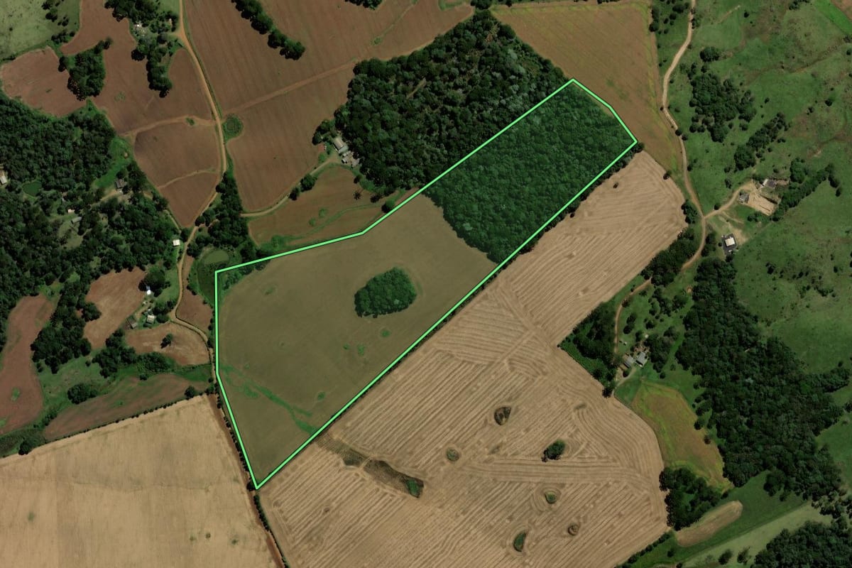 Imagem de satélite do imóvel rural em Pinhão (PR), com o contorno declarado no CAR desenhado por cima.