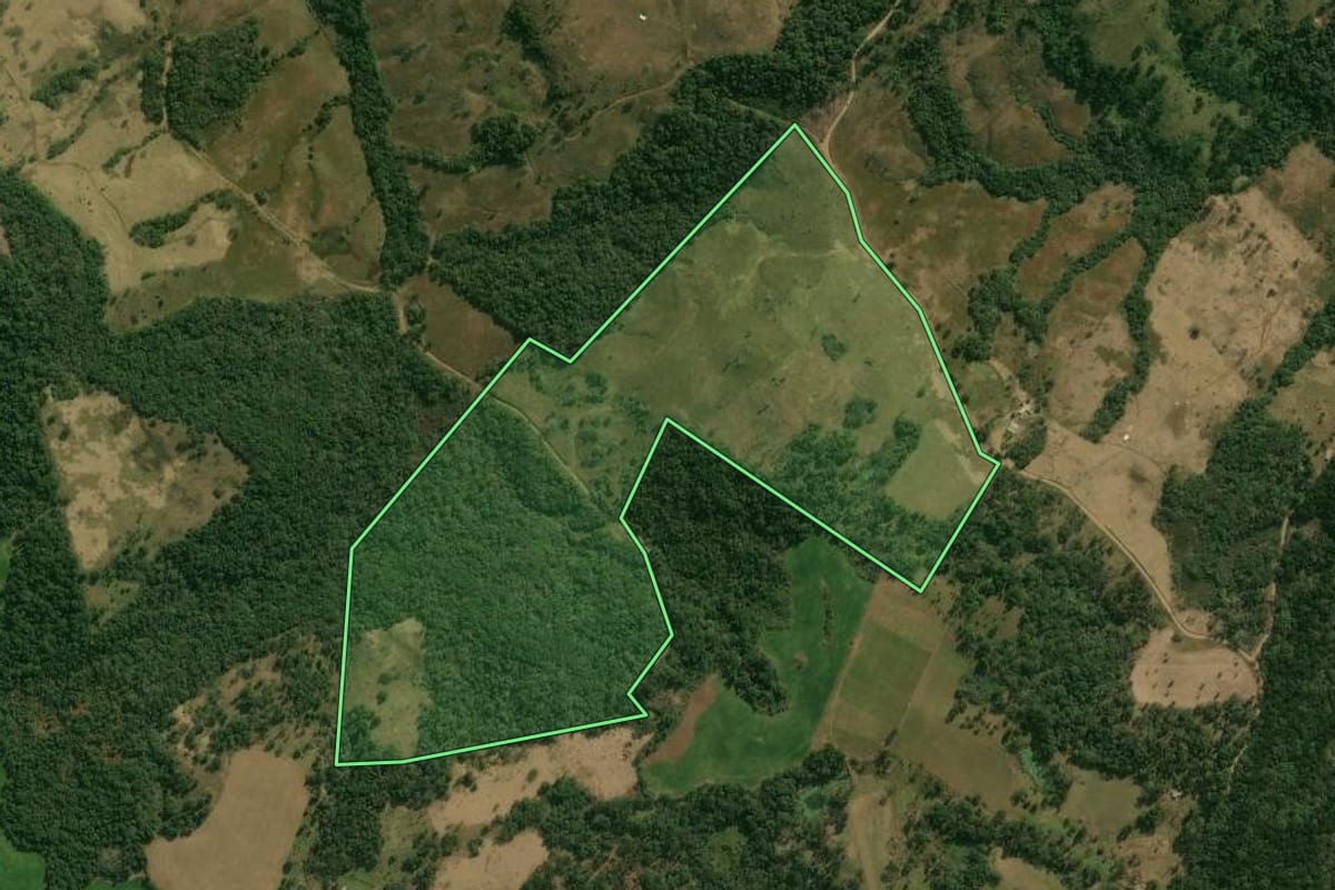 Imagem de satélite do imóvel rural em Pinhão (PR), com o contorno declarado no CAR desenhado por cima.