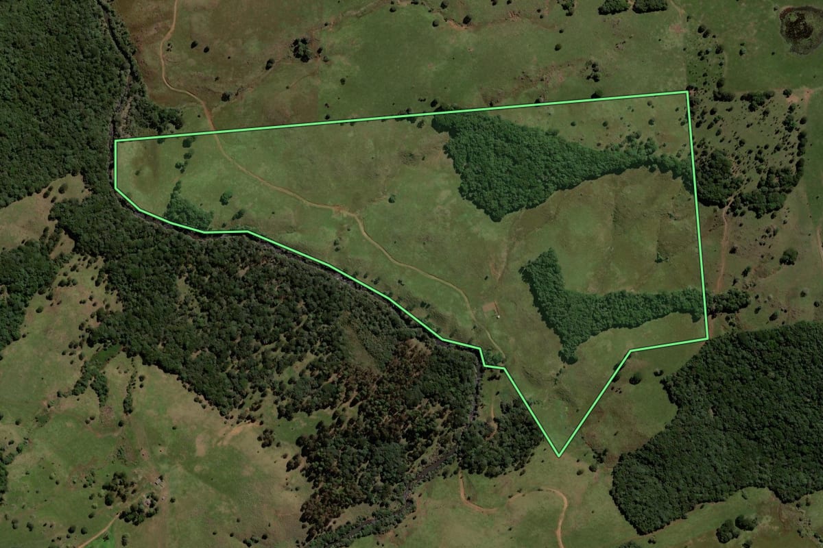 Imagem de satélite do imóvel rural em Pinhão (PR), com o contorno declarado no CAR desenhado por cima.