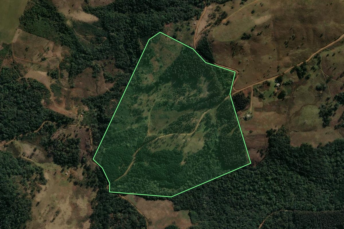 Imagem de satélite do imóvel rural em Pinhão (PR), com o contorno declarado no CAR desenhado por cima.