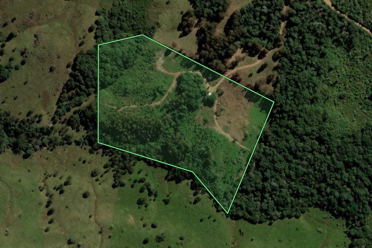 Imagem de satélite do imóvel rural em Pinhão (PR), com o contorno declarado no CAR desenhado por cima.
