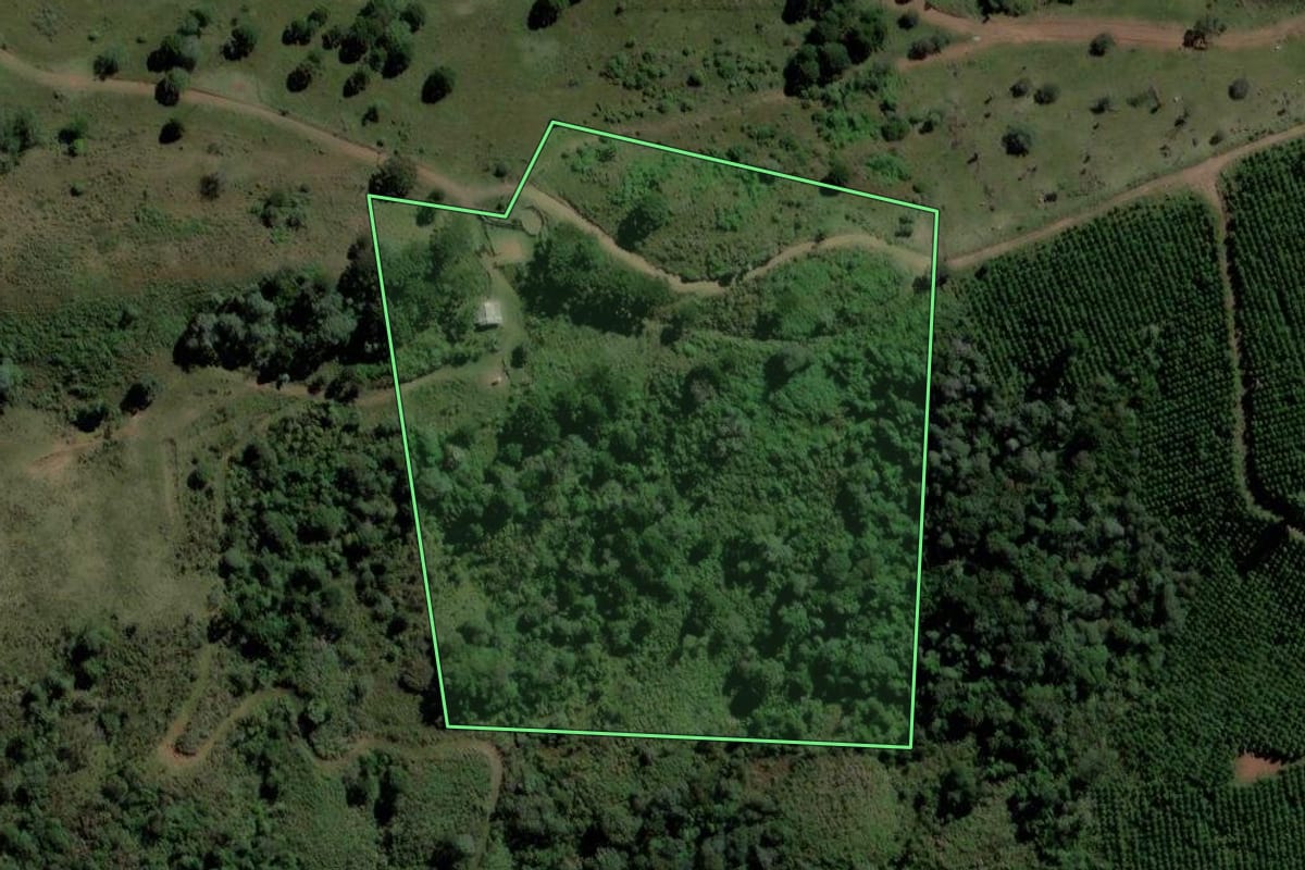 Imagem de satélite do imóvel rural em Pinhão (PR), com o contorno declarado no CAR desenhado por cima.