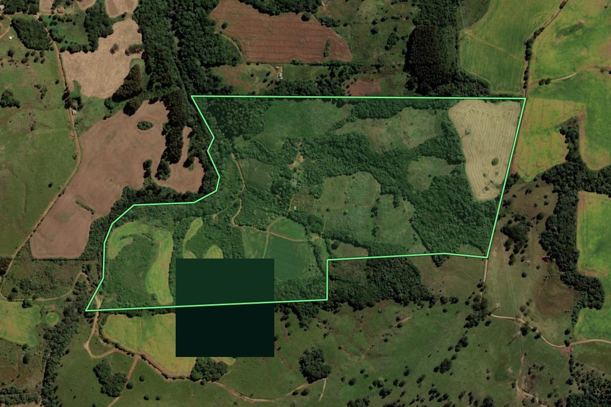 Imagem de satélite do imóvel rural em Pinhão (PR), com o contorno declarado no CAR desenhado por cima.
