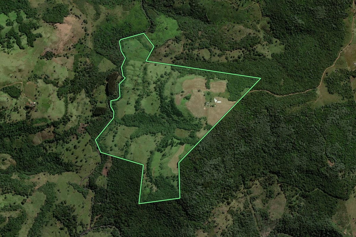 Imagem de satélite do imóvel rural em Pinhão (PR), com o contorno declarado no CAR desenhado por cima.